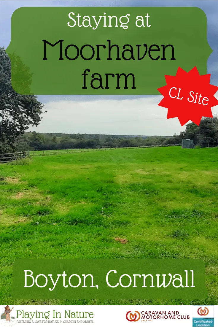 Moorhaven Farm CL Site: A Tranquil Retreat in Nature's Embrace