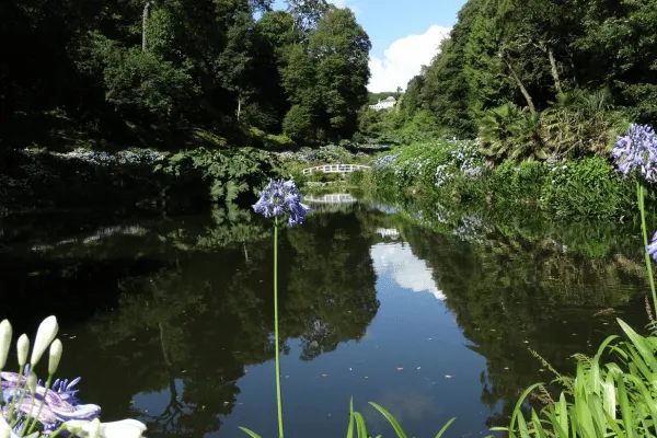Trebah Garden – A Subtropical Paradise by the Sea