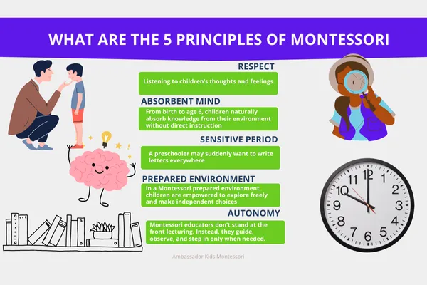 What Are the 5 Principles of Montessori?