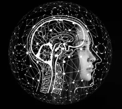 Inside the midlife brain