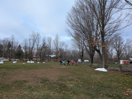 Reflecting on Growth and Preparing for What Comes Next (Nov 17–21)