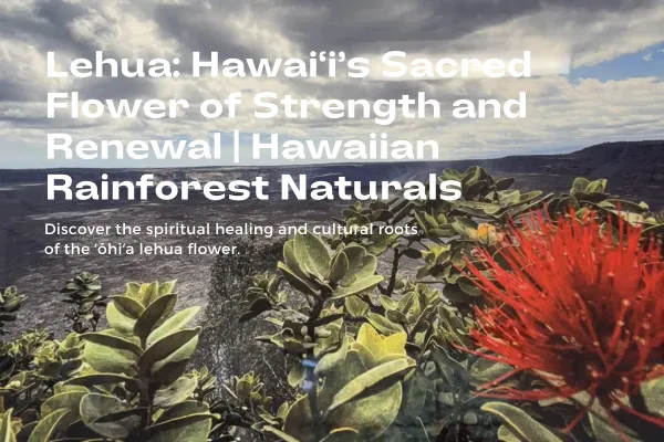 ʻŌhiʻa lehua flower blooming in native Hawaiian forest