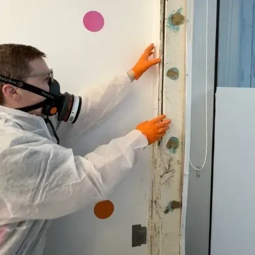 Identifying Hidden Mould: When to Use Invasive Assessment Methods