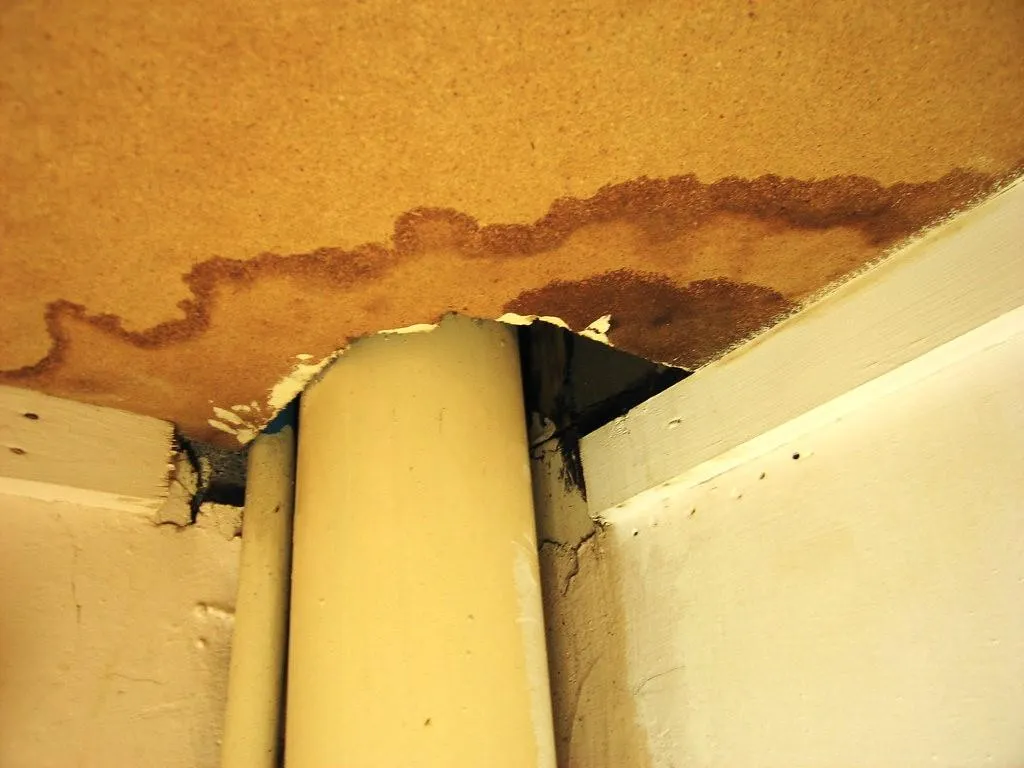 Ceiling Water Damage