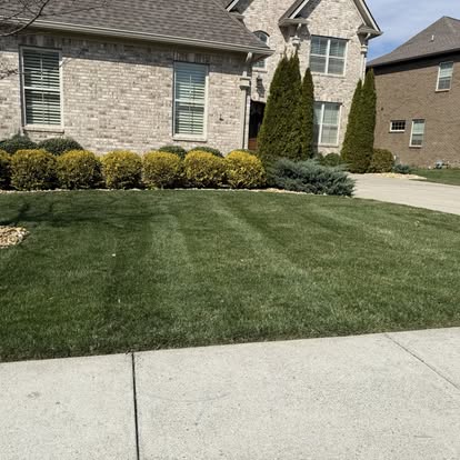 Freshly mowed front yard in Spring Hill TN - Brewer Lawn Care