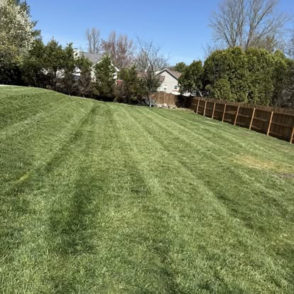 Freshly mowed backyard Spring Hill TN - Brewer Lawn Care portfolio