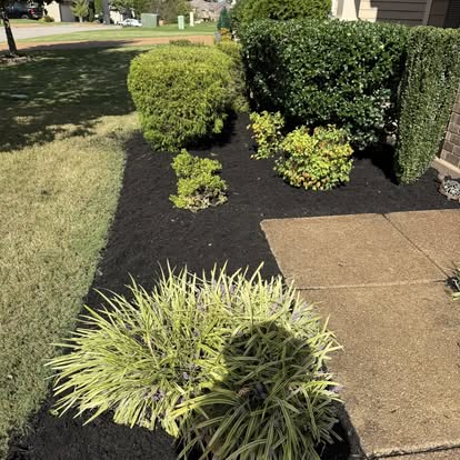 Mulch and shrub installation along walkway Spring Hill TN - Brewer portfolio