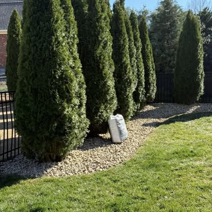 Tree installation and rock landscaping Spring Hill TN - Brewer portfolio