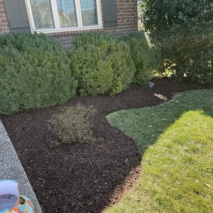 Fresh mulch and shrub installation Spring Hill TN - landscaping portfolio