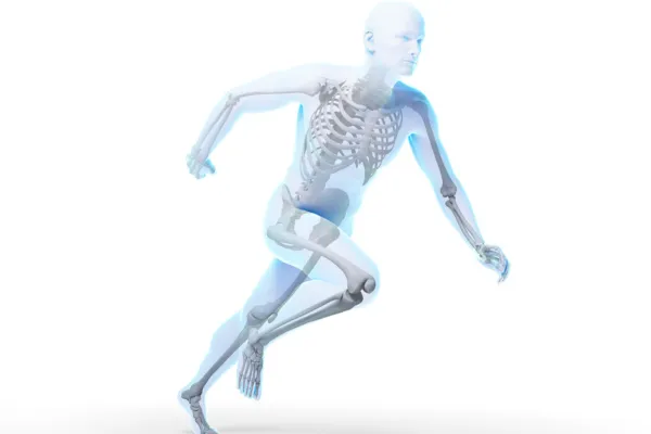 Normal Growth Patterns for Youth Athletes| Alan Smith