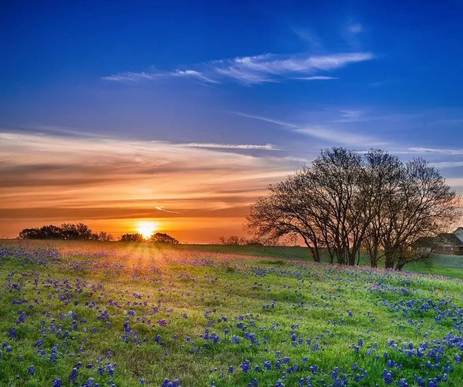 Inheriting a Piece of Land in Texas