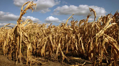 Struggling to Maintain Your Land