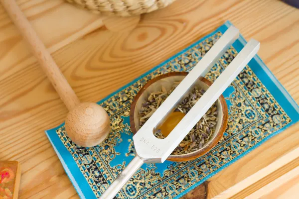 Article on the science of sound healing with tuning forks and its role in stimulating nitric oxide for immune support and overall health, featuring insights from Seattle-based sound healer and Reiki master Shefali Shukla.