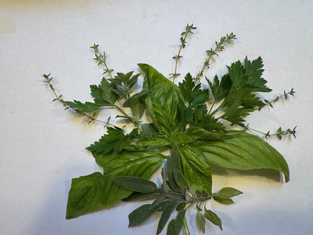 Essential Guide to Growing Herbs Indoors for Fresh Flavors Year-Round