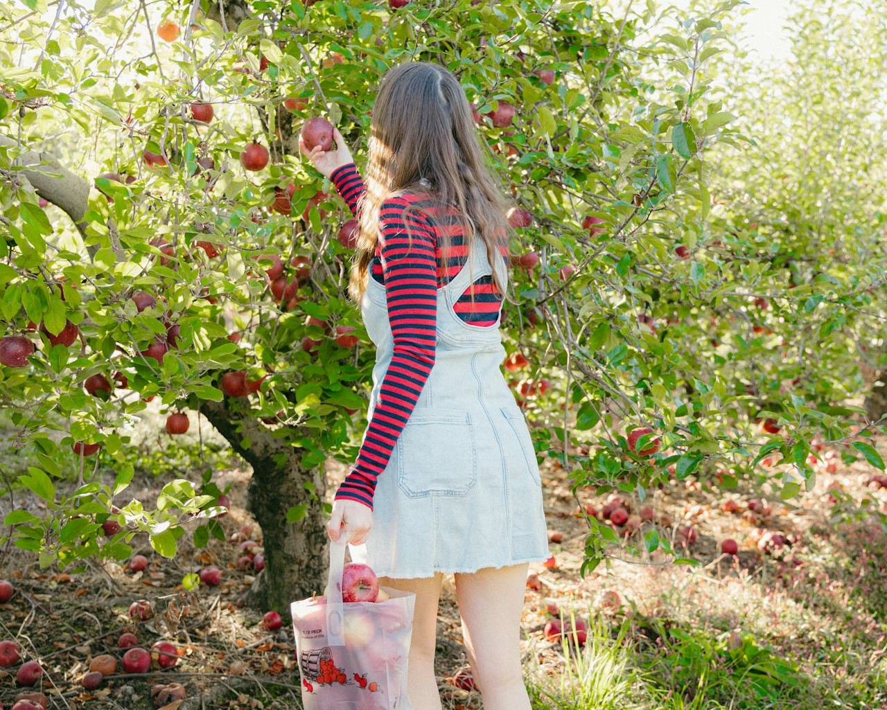 Permaculture: A Simple Guide to Sustainable Living