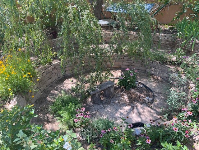 A permaculture guild/pollinator garden.