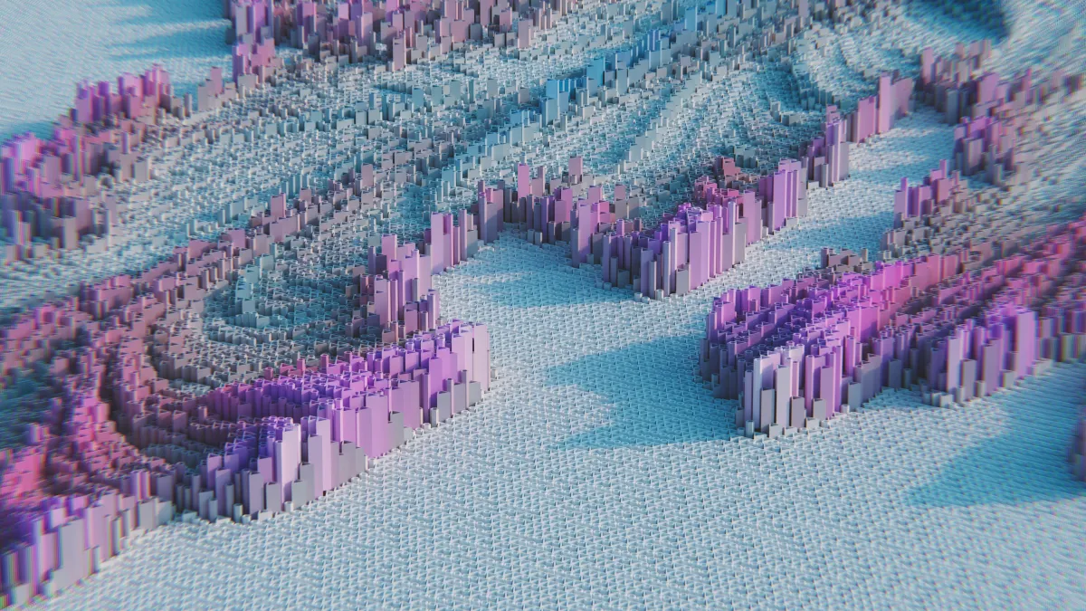 digital image