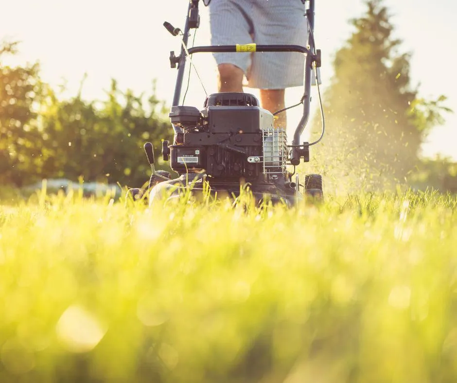 Lawn maintenance guide for Fresno homeowners in summer months