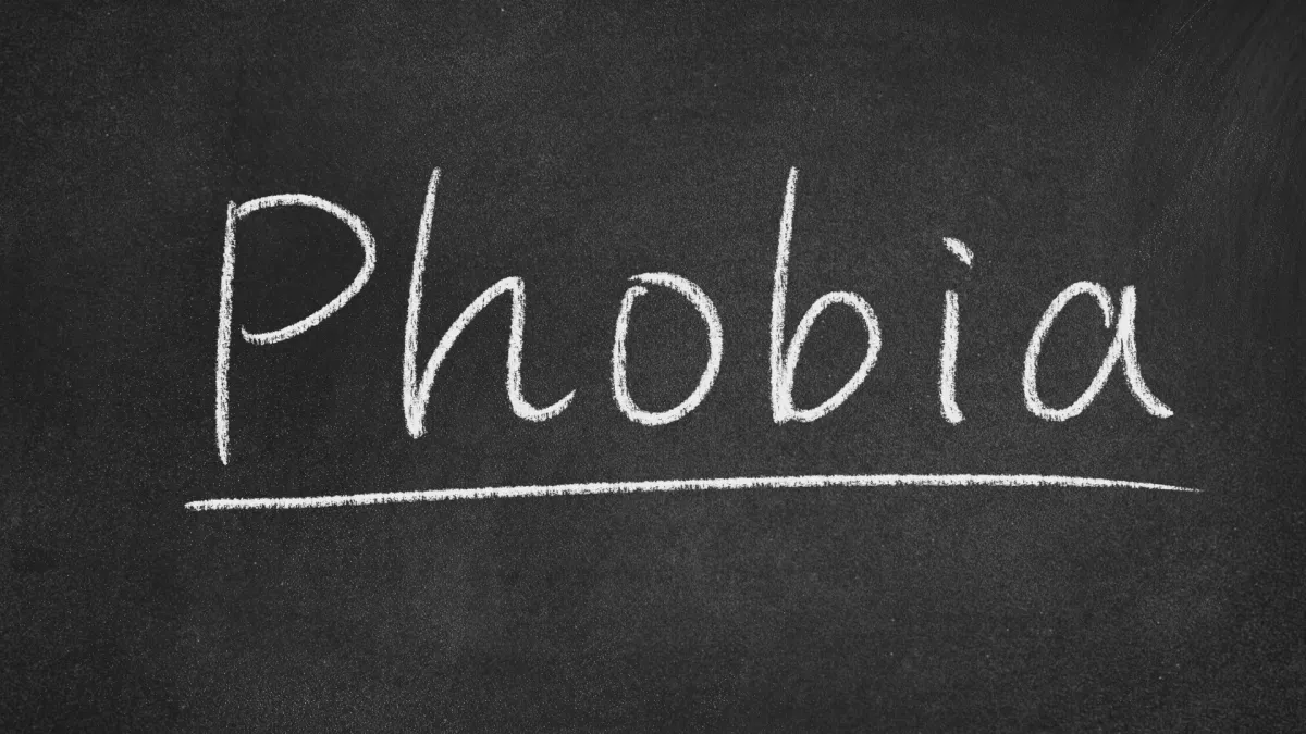 Phobia management and support Hempstead NY