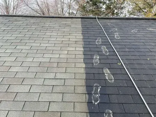 The Hidden Cost of Neglecting Roof Cleaning