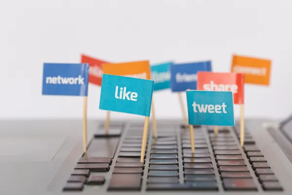 Platform-Specific Social Media Content Services: Affordable Options for Every Channel