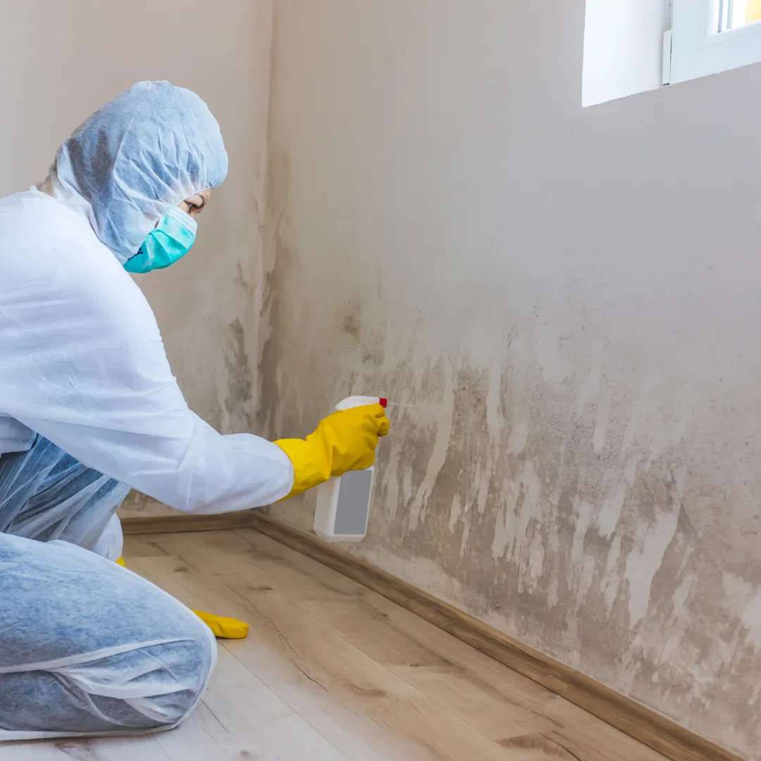 How to Prevent Mould After Water Damage in Brisbane Homes