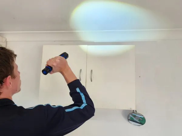 How Brisbane's Climate Affects Mould Growth: Prevention Tips