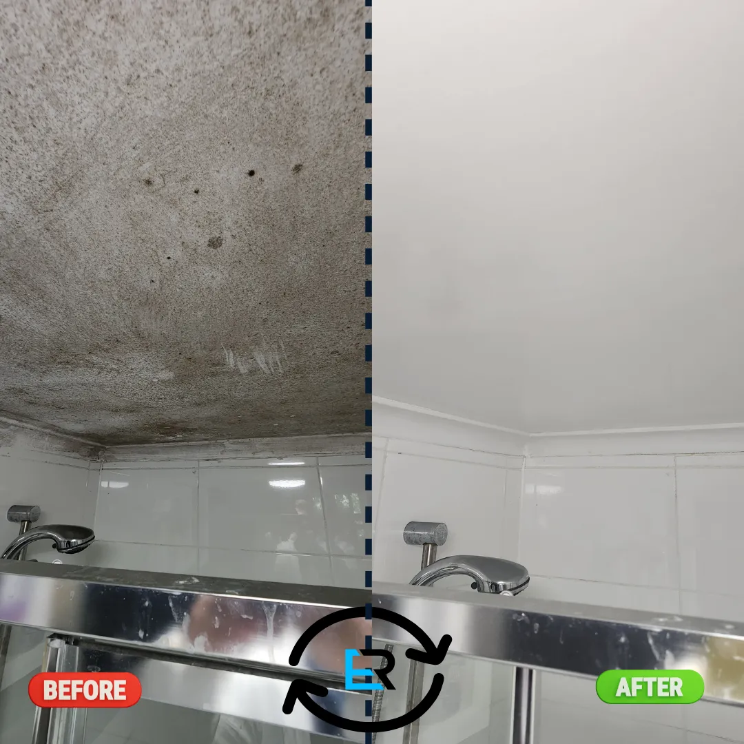 Ceiling Mould Explained: Causes and Solutions