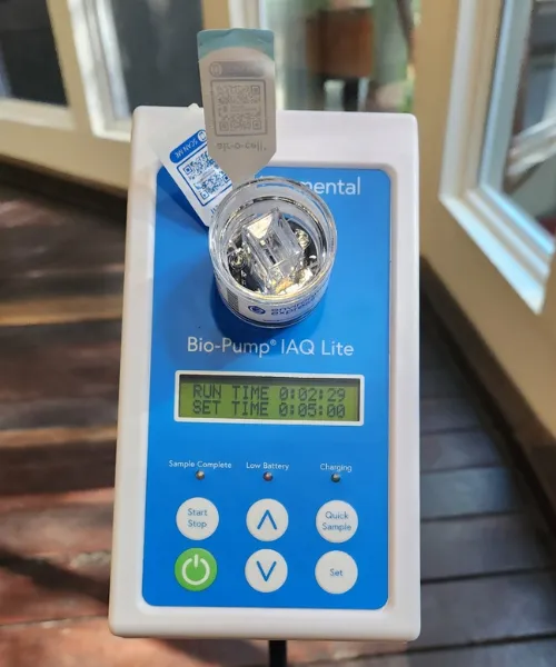 Mould Inspections in Brisbane Homes | Common Issues & Solutions