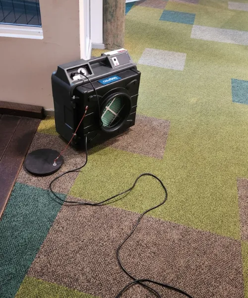 How Air Scrubbers and HEPA Filtration Remove Mould Spores