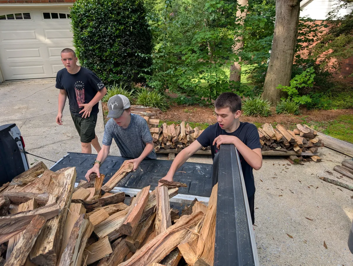 What is the Best Type of Firewood to Burn? (Complete Guide for Georgia Homeowners)