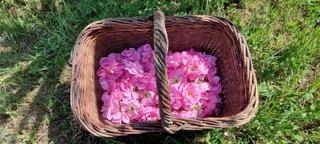 des fleurs au flacon