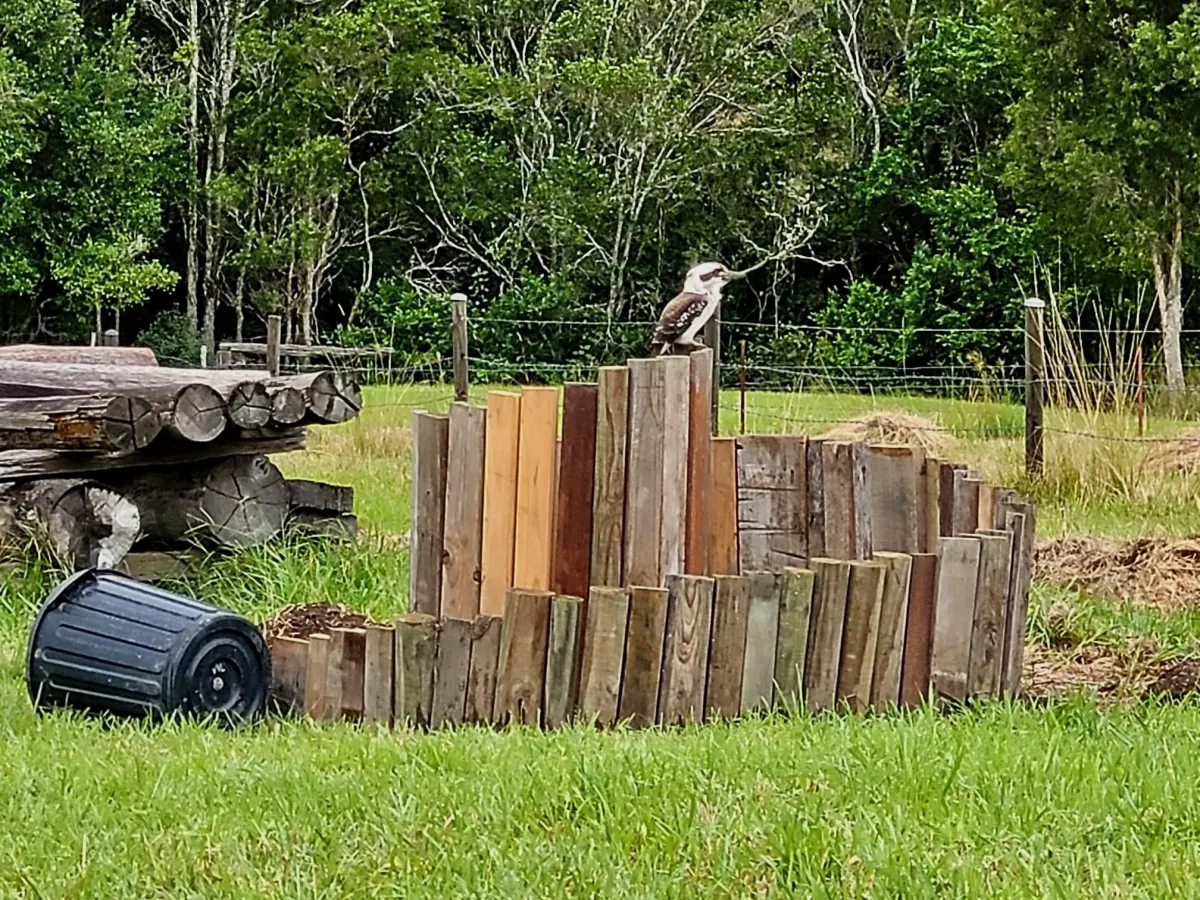 Herbal Spiral retrospective