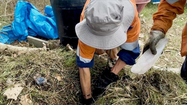 Why we bury fish at Firefly Corner