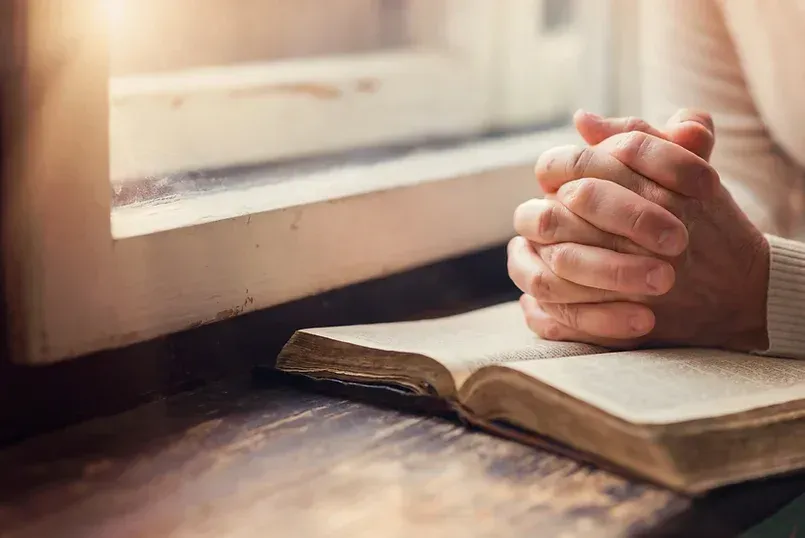 Folded hands praying