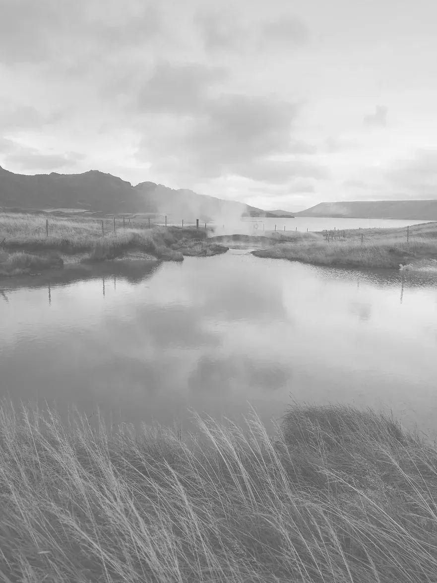 Foggy Landscape