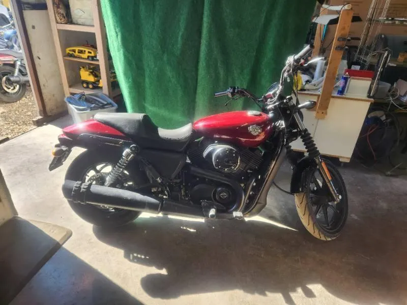 Harley Davidson auction