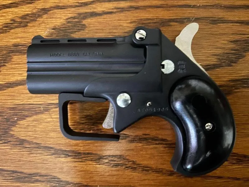 Gun Auction