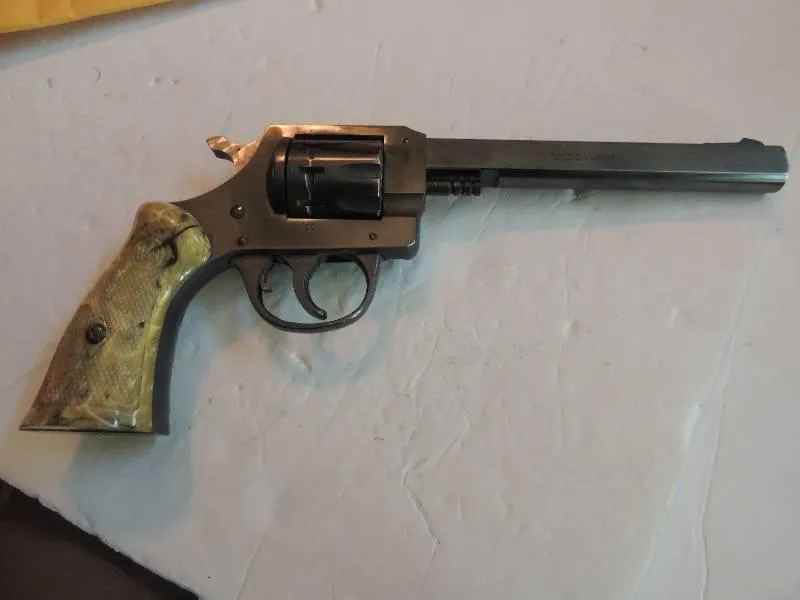 gun auction