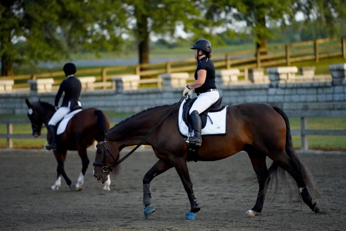 relaxed horse and rider
