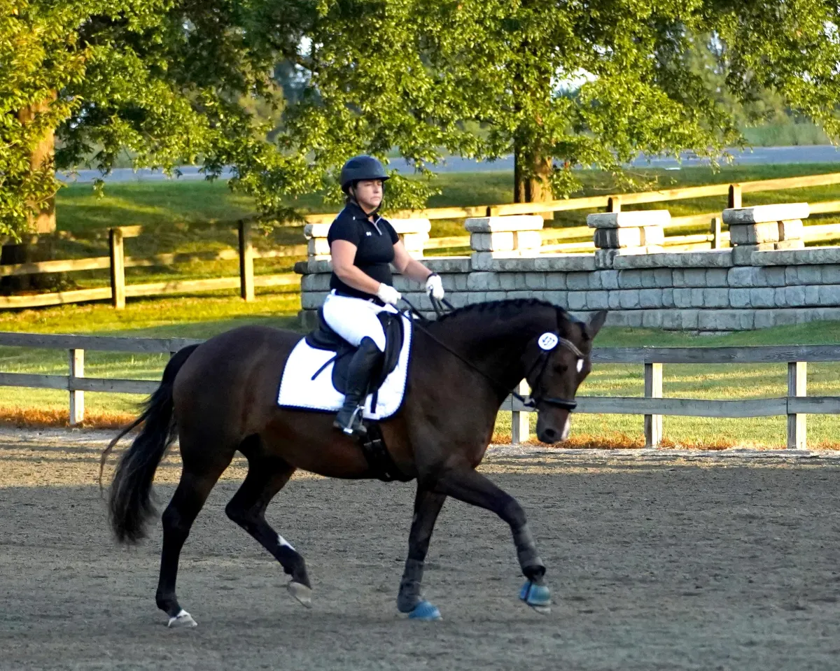 Horse and rider