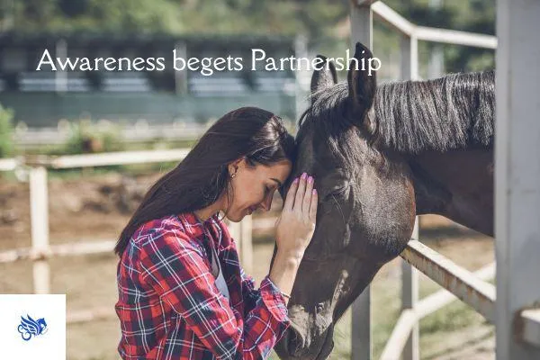 Awareness Is the Beginning of a Beautiful Partnership with Your Horse