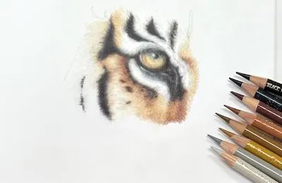 How to Use Coloured Pencils on Drafting Film  