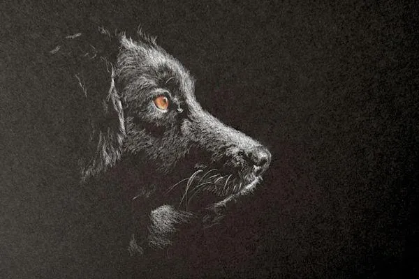 Drawing with a White Pencil on Black Paper