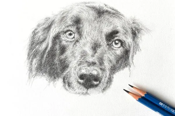 The Art of Practice