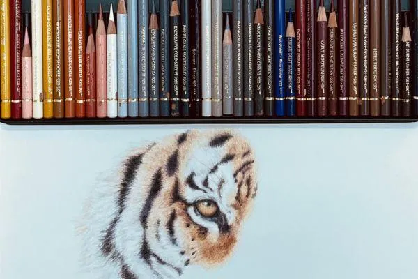 
How to Choose the Right Colours for Animals Using Coloured Pencils