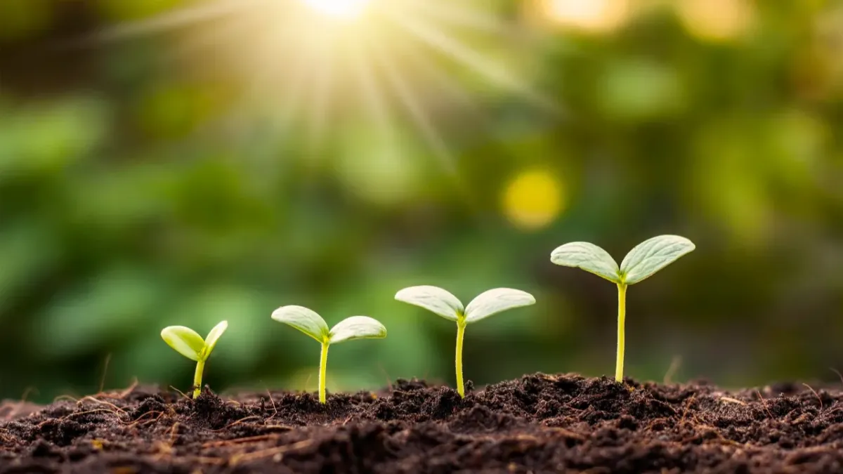 Earth Day 2023