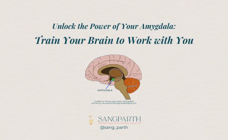 Amygdala