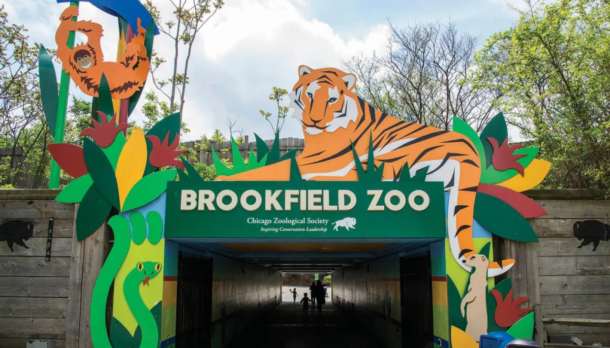 A Wild Day Out: Exploring Brookfield Zoo Like a Local from Addison