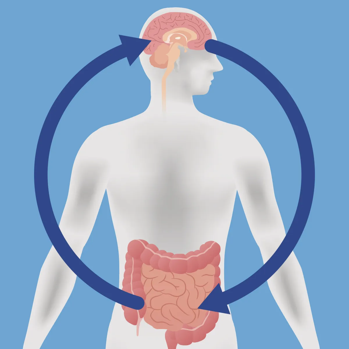 The Gut-Brain Connection: How Your Microbiome Affects Mood and Mental Health